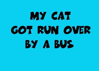 My Cat Got Run Over By A Bus